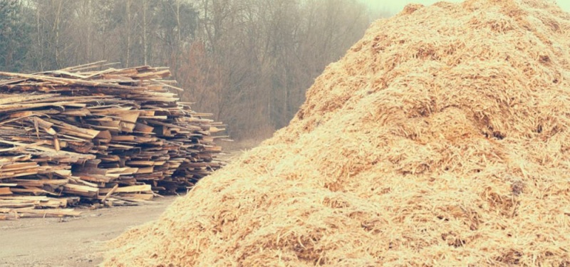 Стратегия для компаний со значительными запасами биомассы
